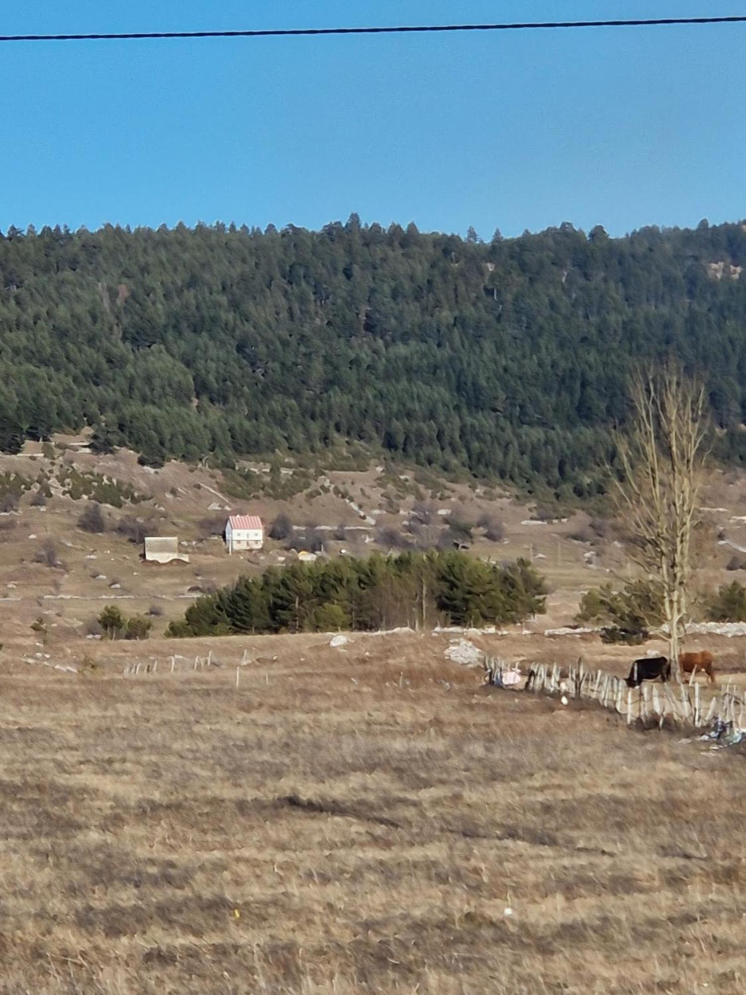 Cozy Home Small Bear Žabljak 外观 照片